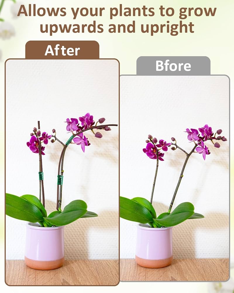 棘.PLANTS Amazon.com : 16 Inch Orchid Sticks Plant Stakes, 20 Pcs